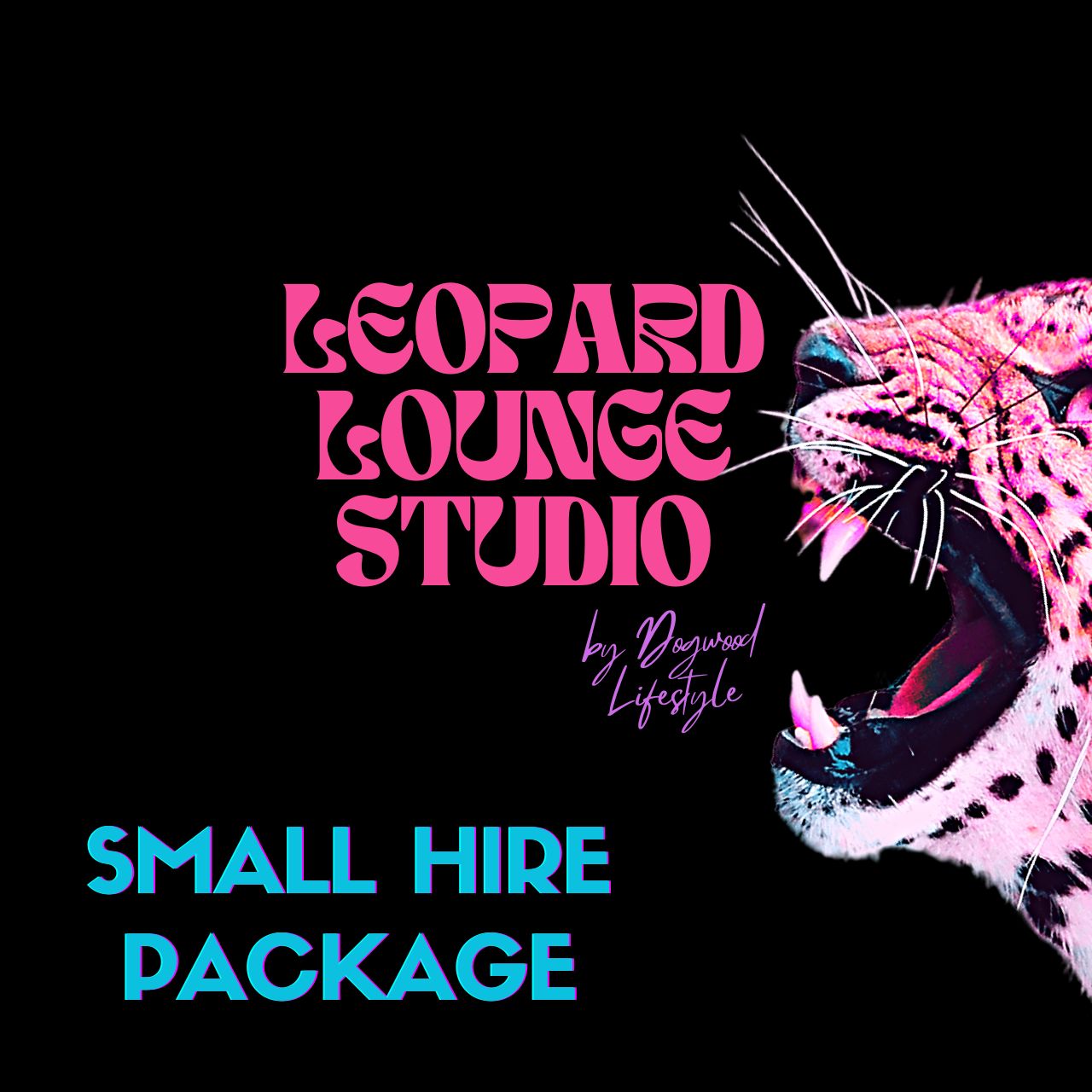 Studio booking Small Package